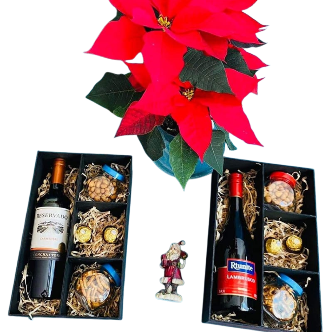 Arreglo frutal ARV-36 devorame