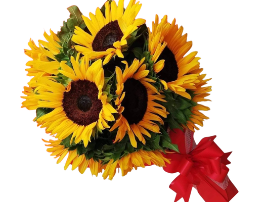 Arreglo frutal Ra-60 devorame