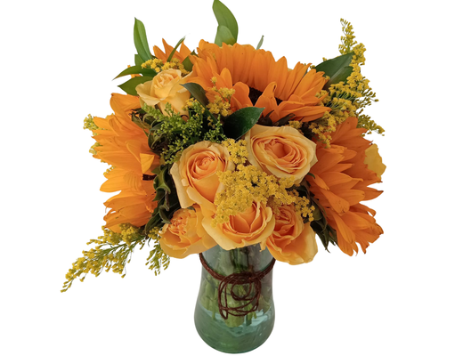 Arreglo frutal Ra-91 devorame