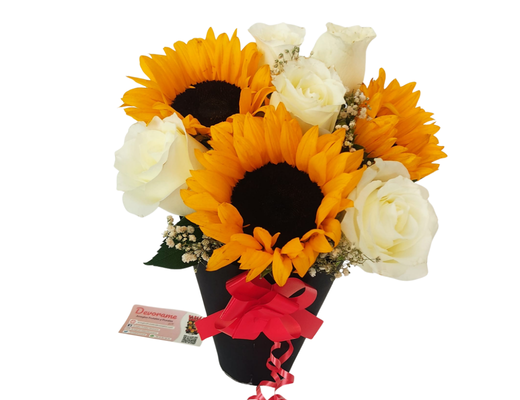 Arreglo frutal Ra-88 devorame