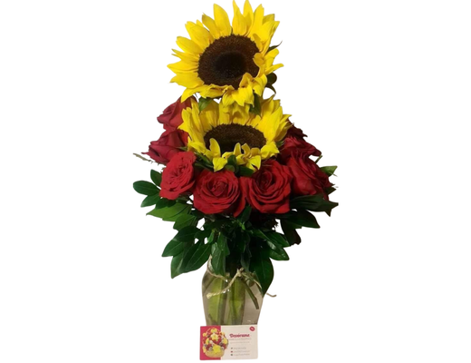 Arreglo frutal FL-13 devorame